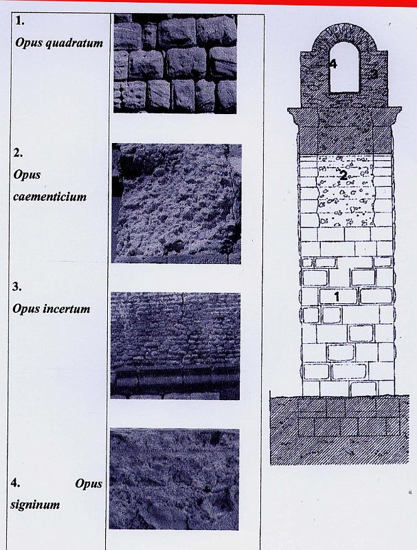 Carthage - coupe  01.jpg